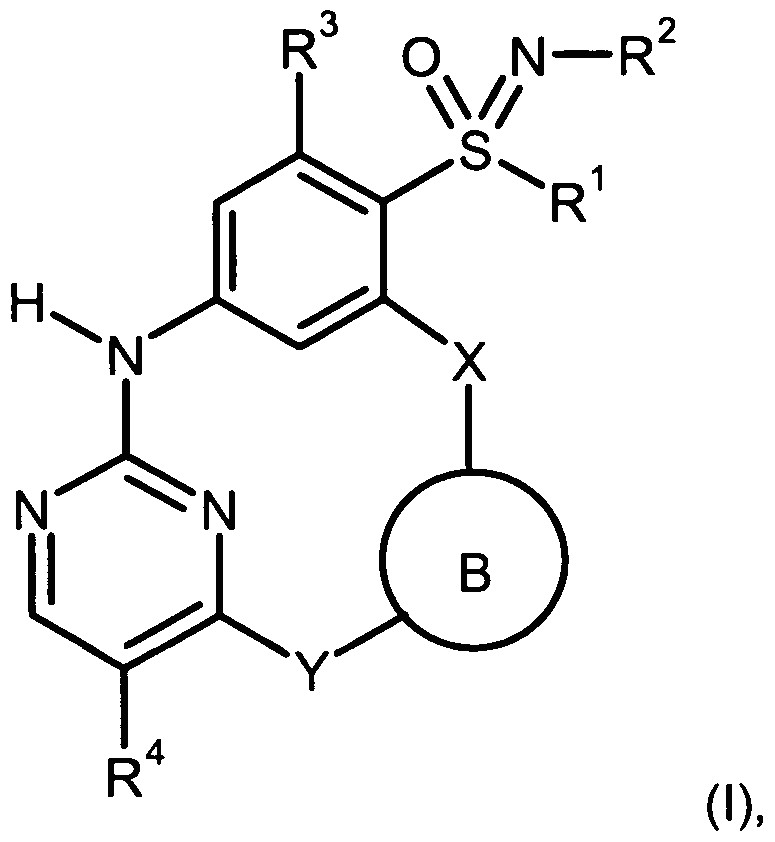 0603 Drawing Wo2007079982a1 2 4 9 Triaza 1 2 4 Pyrimidina 3 1 3