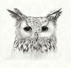 0wl Drawing 458 Best Owl Sketches Images Tattoo Owl Drawings Body Art Tattoos