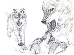 2 Wolf Drawing 180 Best Wolf Drawings Images Drawing Techniques Drawing