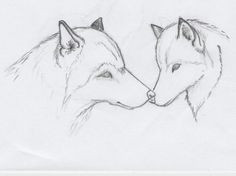 2 Wolf Drawing 180 Best Wolf Drawings Images Drawing Techniques Drawing