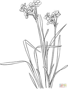 2d Drawings Of Flowers 126 Nejlepa A Ch Obrazka Z Nasta Nky Flowers Drawing Of Daffodil