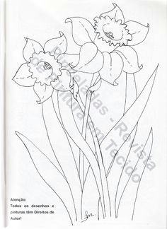 2d Drawings Of Flowers 126 Nejlepa A Ch Obrazka Z Nasta Nky Flowers Drawing Of Daffodil