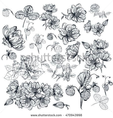 2d Drawings Of Flowers Mega Collection or Vector Set Of Hand Drawn Flowers Flowers