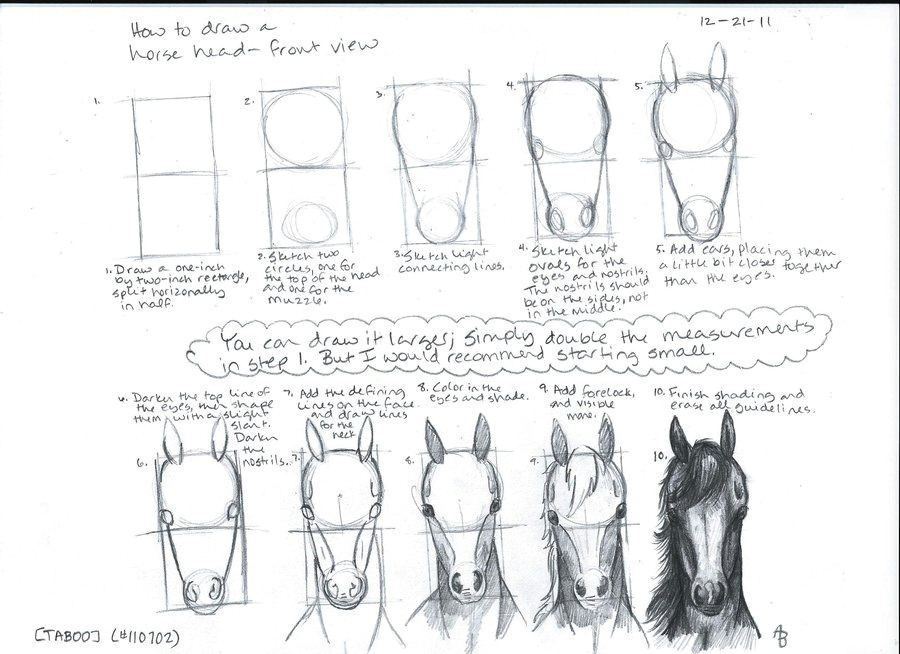 3 Drawing Techniques How to Draw A Horse Head Front View by A N 0 N Y M O U S On