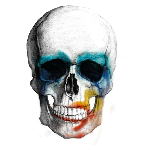 3 Skulls Drawing Lady Gaga Artpop Skull 3 Art Projects Pinterest Lady Gaga
