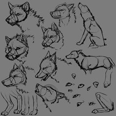 3 Wolf Drawing 109 Best Wolf Images Wolf Drawings Art Drawings Draw Animals