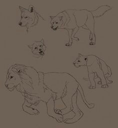 3 Wolf Drawing 9 Best 3 Realistic Wolves Cartoon Wolf Drawing Tutorials Images