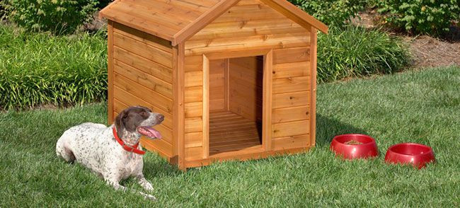 3d Drawing Dog House 17 Free Diy Dog House Plans Anyone Can Build