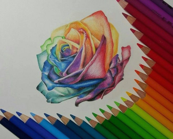 3d Drawing Of A Rose Rose Color Pencil Drawing by Gaby Sabbagh Rainbows Pencil