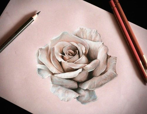 3d Pencil Drawing Of Flowers 25 Beautiful Rose Drawings and Paintings for Your Inspiration