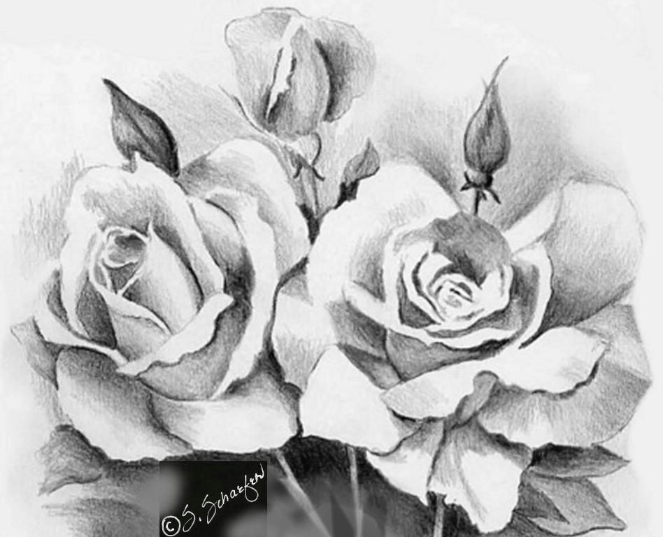 3d Pencil Drawing Of Flowers Beautiful Sketches Of Flowers Beautiful Rose Flower Bouquet