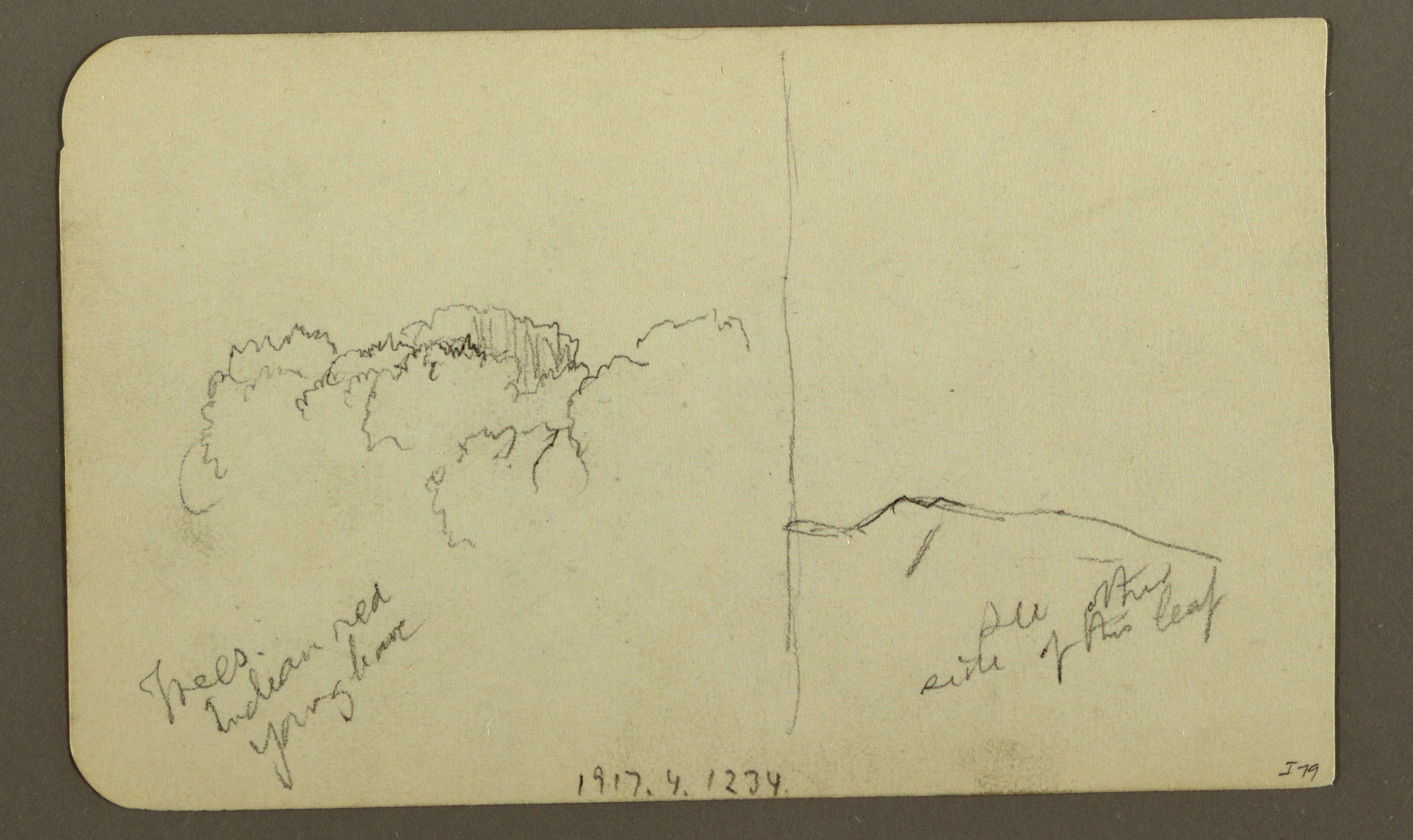 4 Drawing Media File Drawing Peak Of Mt orizaba Verso Trees Ridge 1890 93 Ch
