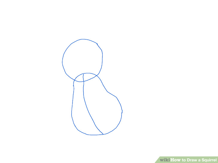4 Easy Drawings 4 Easy Ways to Draw A Squirrel with Pictures Wikihow