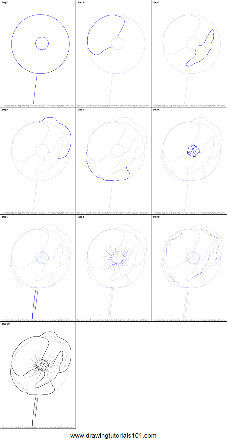 5 Drawing Techniques How to Draw Poppy Flower Printable Drawing Sheet by