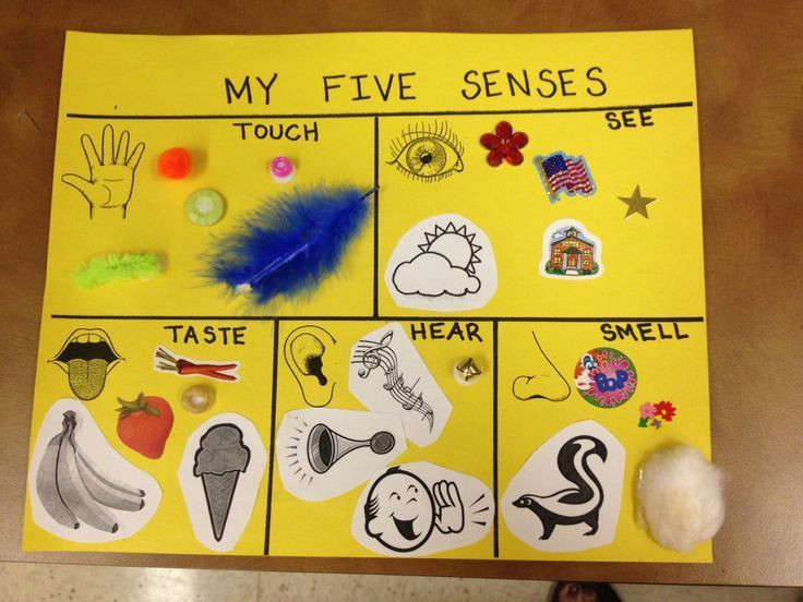 5 Senses Easy Drawing Five Senses Ideas for Preschool 5 Senses Preschool Craft