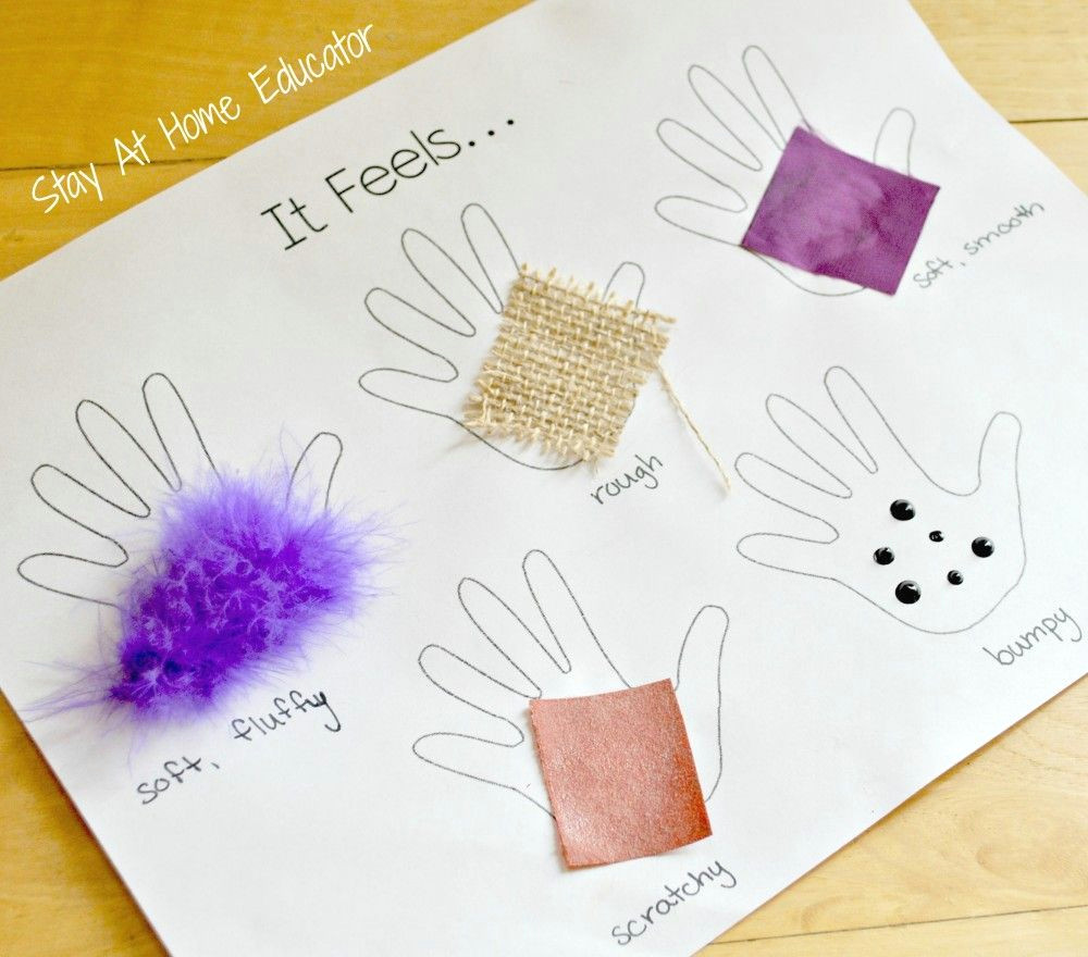 5 Senses Easy Drawing Four Activities to Learn About the Sense Of touch Teaching Tips