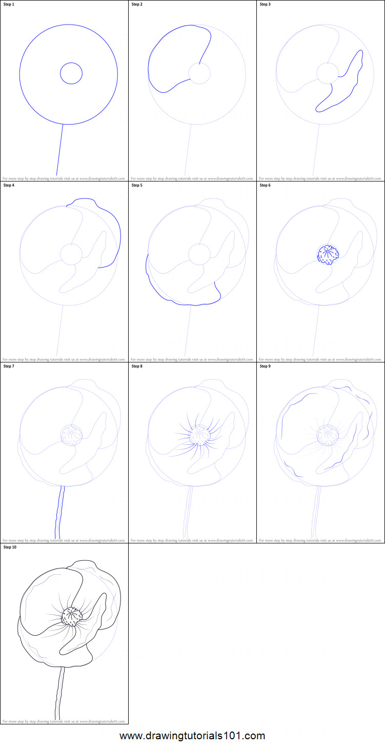 6 Drawing Techniques How to Draw Poppy Flower Printable Drawing Sheet by