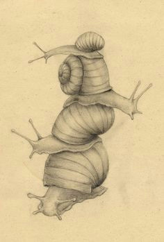 64 Bit Drawing Pin by Abigail Grush On Snails In 2018 Pinterest Snail Art