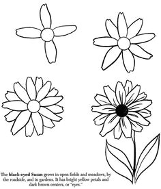 7 Flowers Drawing 361 Best Drawing Flowers Images Drawings Drawing Techniques