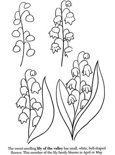 8 March Flowers Drawing 361 Best Drawing Flowers Images Drawings Drawing Techniques