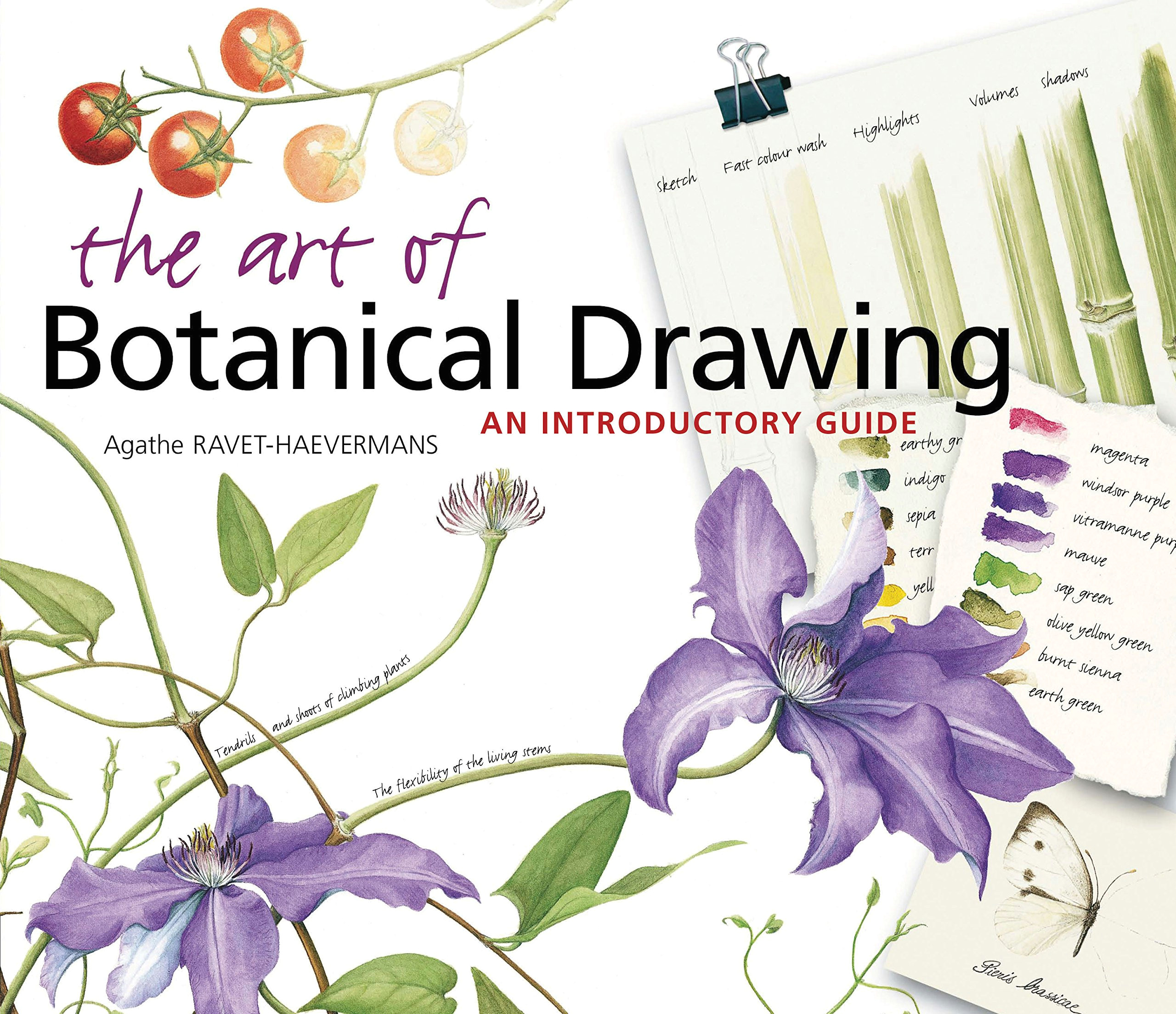 8 March Flowers Drawing the Art Of Botanical Drawing An Introductory Guide Agathe Ravet
