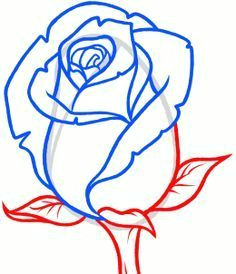 9 11 Drawing Easy How to Draw A Rose Bud Rose Bud Step by Step Flowers Pop Culture