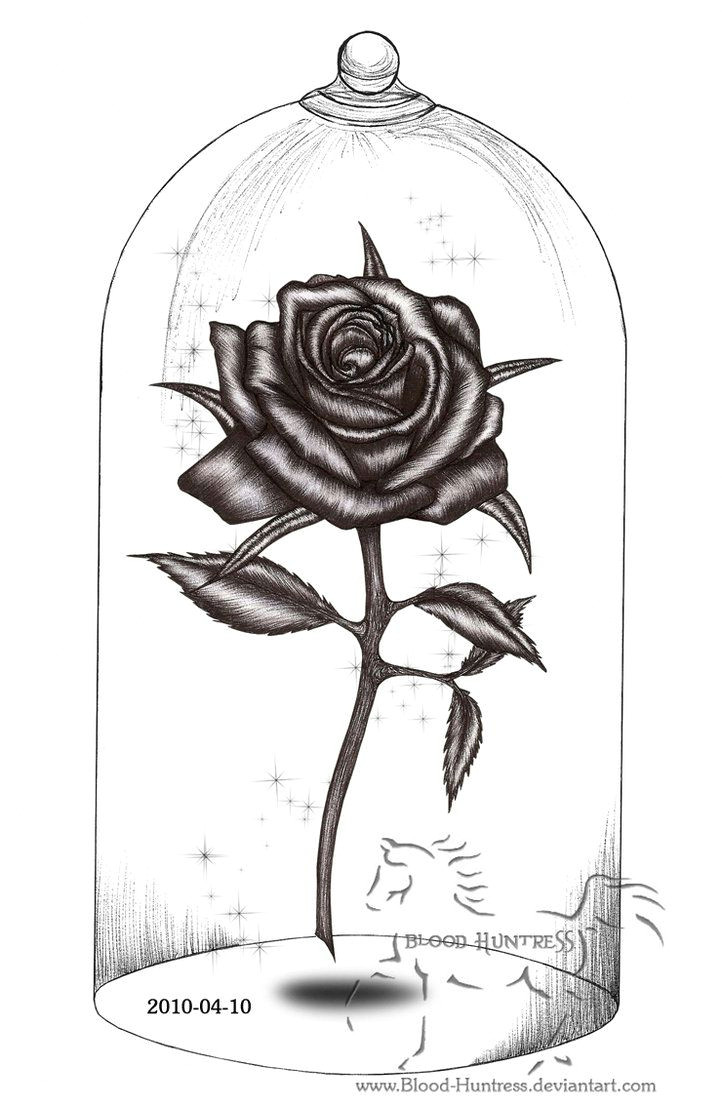 A Beautiful Drawing Of A Rose Rose Drawings Rose Pen Drawing with Glass by Blood Huntress On