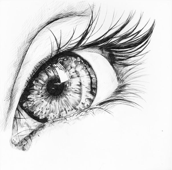 A Detailed Drawing Of An Eye Beauty is On the Eye Holder Blue Eyes Drawing Pinterest