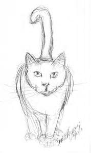 A Drawing Picture Of A Cat Easy Cat Drawings In Pencil Wallpapers Gallery Art and