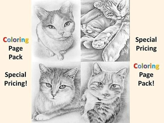 A Drawing Picture Of A Cat Fresh Coloring Page Of A Cat Creditoparataxi Com
