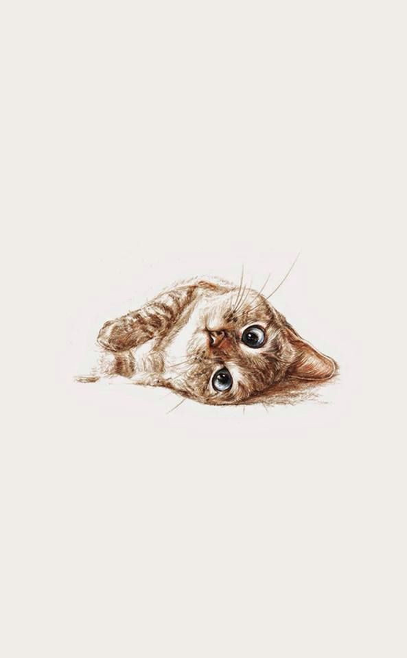 A Drawing Picture Of A Cat Pretty Sure This is Nala Cat Cool Art Wallpaper