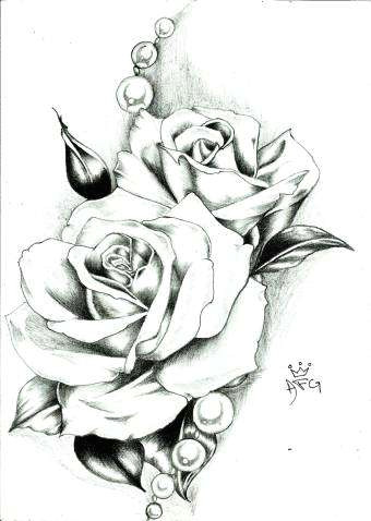 A Drawing Picture Of A Rose 27 Exotic Ideas to Draw Helpsite Us