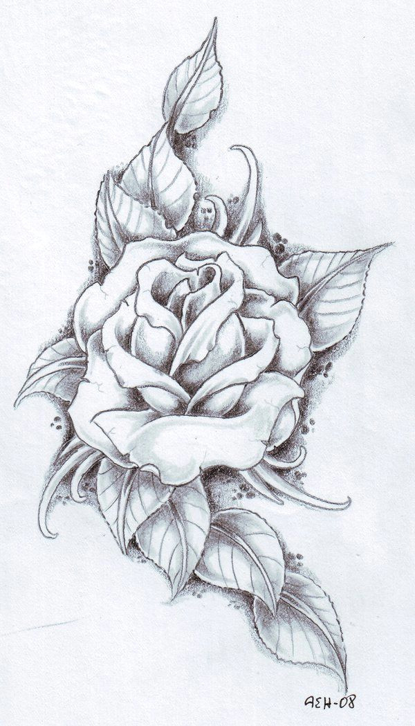 A Drawing Picture Of A Rose Black Rose Arm Tattoos for Women Rose and Its Leaves Drawing