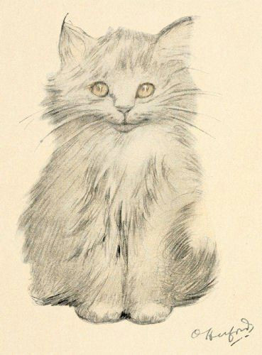 A Simple Drawing Of A Cat Kitten Portrait I Love All Of the Cat Drawings by Oliver Herford