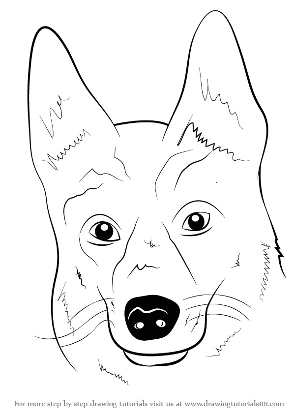 A Simple Drawing Of A Dog Learn How to Draw German Shepherd Dog Face Farm Animals Step by