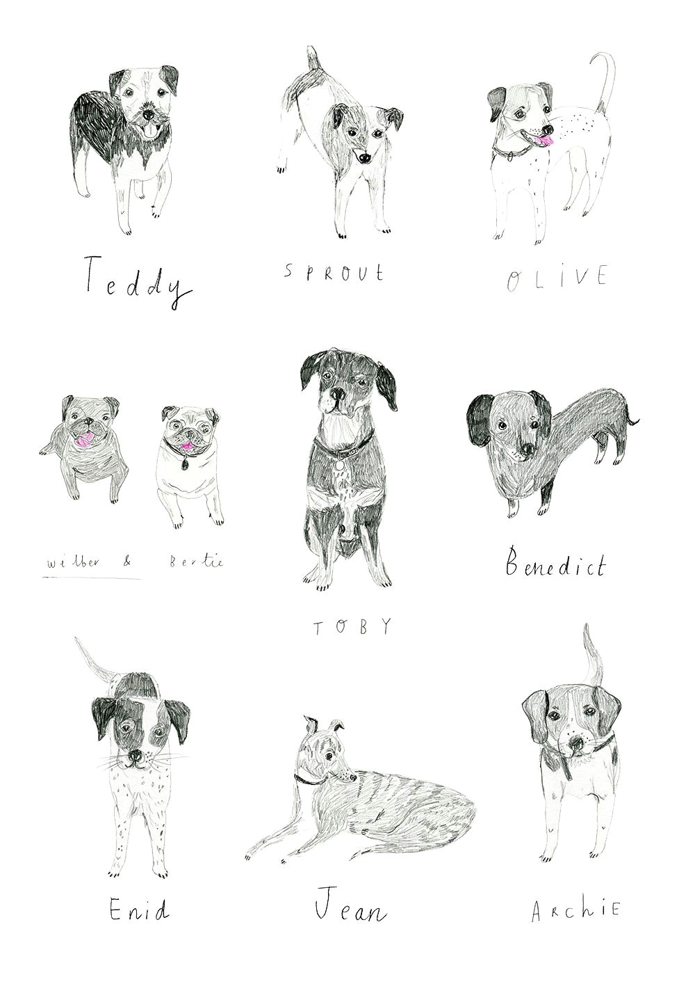 A Simple Drawing Of A Dog Pin by Girl Scout On Illustrate In 2019 Drawings Illustration
