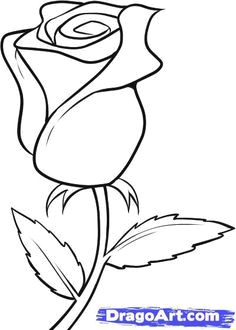 A Simple Drawing Of A Rose 163 Best How to Draw Rose Images Drawings Drawing Flowers How to