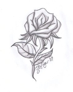 A Simple Drawing Of A Rose 40 Best Beautiful Drawn Roses Images Drawing Techniques Rose