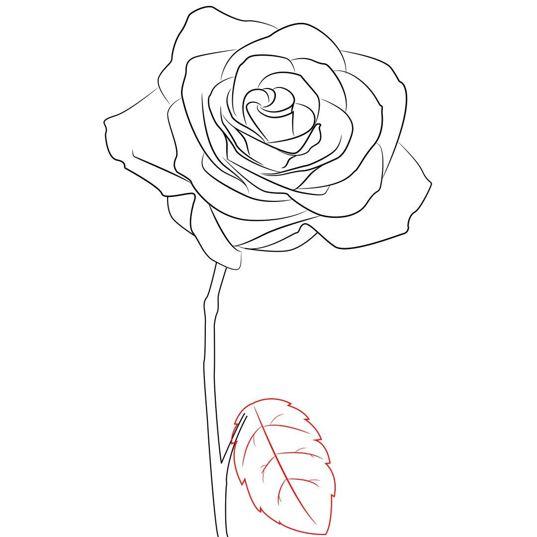 A Simple Drawing Of A Rose How to Draw A Rose Simple Step by Step Doodle All Day Every Day