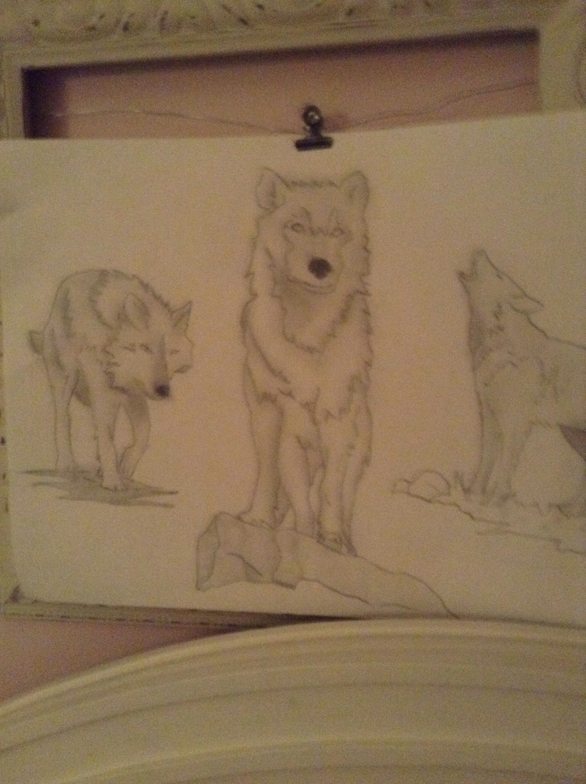 A Simple Drawing Of A Wolf Simple Wolf Sketch I Did Most Of the Work the Only Thing that I