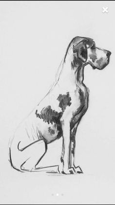 Abstract Drawing Of A Dog 534 Best Abstract Dog Painting Images In 2019 Drawings Dog