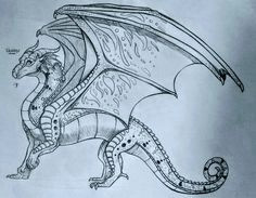 Amazing Drawings Of Dragons 51 Best How to Draw Dragons Images In 2019 Mythological Creatures
