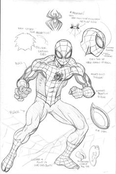 Amazing Spider Man 2 Drawing Easy 25 Best Spider Man Drawings Images