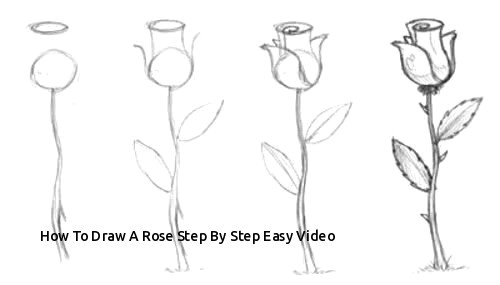 An Easy Drawing Of A Rose How to Draw A Rose Step by Step Easy Video Easy to Draw Rose Luxury