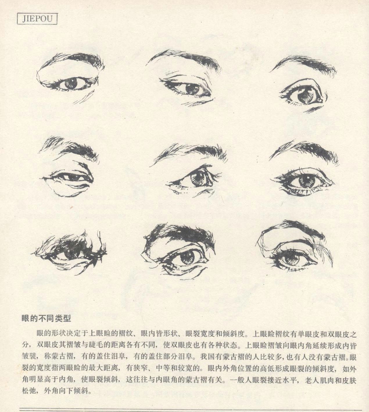 Anatomical Drawing Of the Eye Aooa E A A Oc Aooa A E E A Ae Ae C E Oae A E µe C A E E C Ae A E