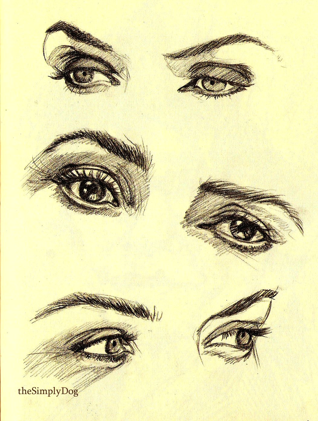 Anatomical Drawing Of the Eye Kate Winslet Pencil Drawing Art Reference Art Draw