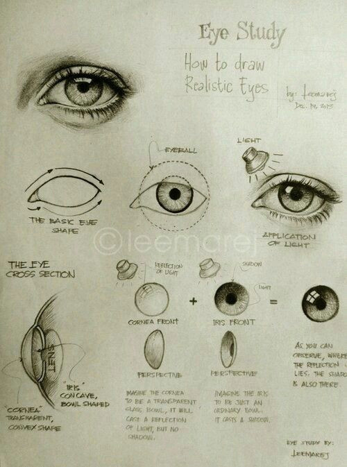 Anatomical Drawing Of the Eye Pin by Warden Dolly On Sketch Pinterest Drawings Drawing Ideas