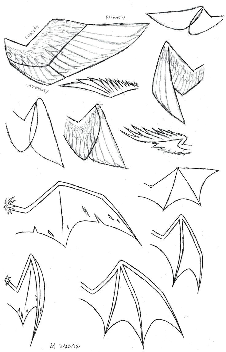 Anime Wolves Drawing Easy How to Draw Anime Wolf Ears and Tail Google Search Wings In 2019