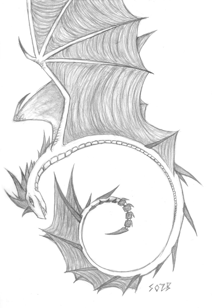 Artist Drawings Of Dragons Dragon Spiral by Nightmare Bird On Deviantart