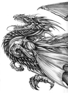 Awesome Drawing Of Dragons 136 Best Lineart Dragons Images Dragons Dragon Kites